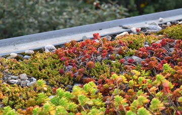 the cost of Clippesby green roof installation