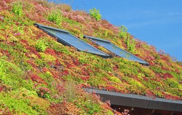 Clippesby living roof systems